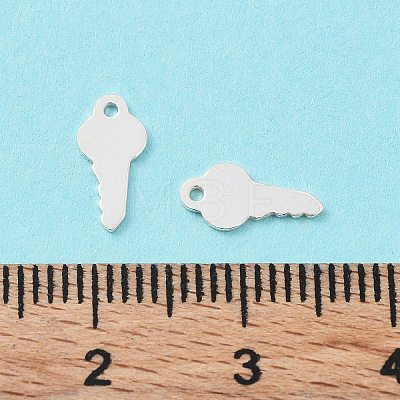 925 Sterling Silver Charms STER-F053-03S-1