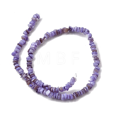 Natural Freshwater Shell Beads SHEL-B003-01L-1