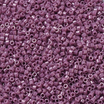 MIYUKI Delica Beads Small SEED-X0054-DBS0265-1