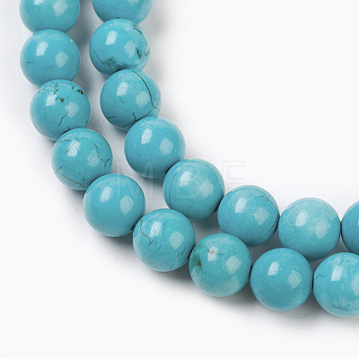 Natural Magnesite Beads Strands TURQ-P027-21A-6mm-1