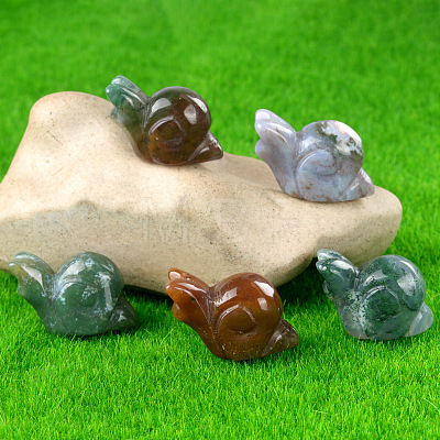 Natural Indian Agate Carved Healing Snail Figurines PW-WG23180-07-1