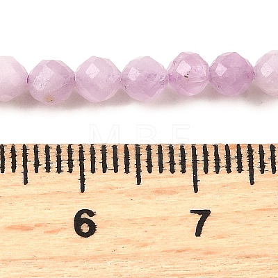 Natural Kunzite Beads Strands G-G259-D11-4mm-1