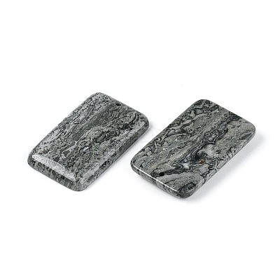 Natural Map Stone Pendants G-N361-04A-1
