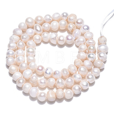 Natural Cultured Freshwater Pearl Beads Strands PEAR-N013-04E-1