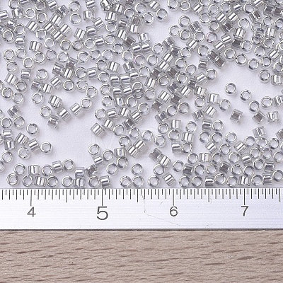 MIYUKI Delica Beads Small X-SEED-J020-DBS0114-1