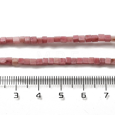 Natural Rhodonite Beads Strands G-B064-A08-1