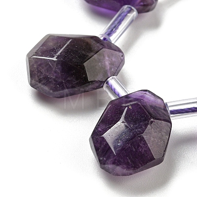 Natural Amethyst Beads Strands G-Z040-A10-01-1