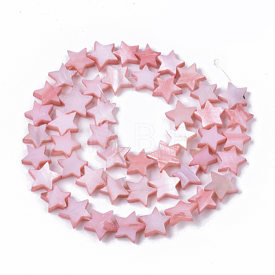 Freshwater Shell Beads Strands SHEL-T014-009F-1