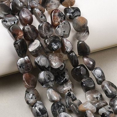 Natural Moonstone Beads Strands G-A284-A01-02-1