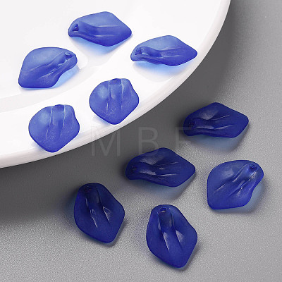 Transparent Frosted Acrylic Pendants MACR-S371-03A-751-1