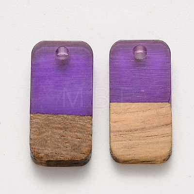 Two-tone Transparent Resin & Walnut Wood Pendants RESI-S384-008A-B01-1