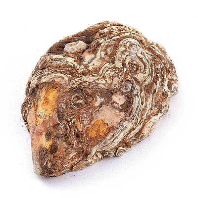 Natural Geode Agate Druzy Agate Display Decorations DJEW-I014-01A-1