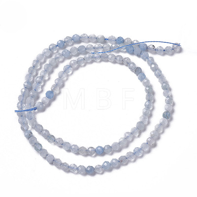 Natural Aquamarine Beads Strands X-G-F596-26-3mm-1