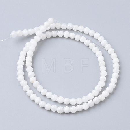 Natural Freshwater Shell Bead Strands SHEL-S249-29-1