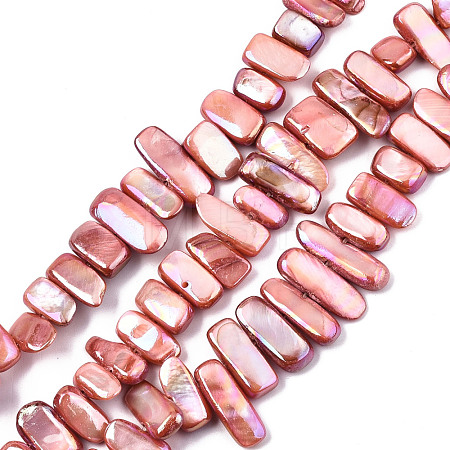 Natural Freshwater Shell Beads Strands X-SHEL-N026-123C-1