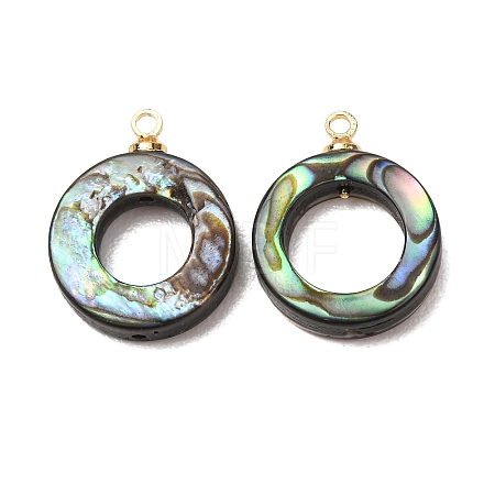 Natural Abalone Shell Pendants SH-CJC0AC7-01G-G-1