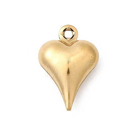 304 Stainless Steel Pendants STAS-G389-02G-04-1
