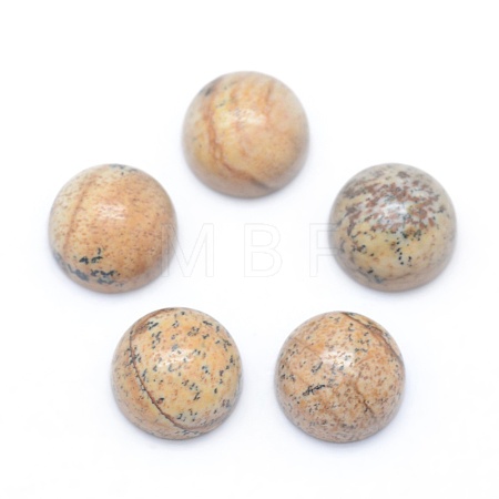 Natural Picture Jasper Cabochons G-E492-H-04-1