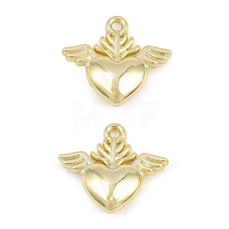 Alloy Charms AL-CBA415D-17G-1