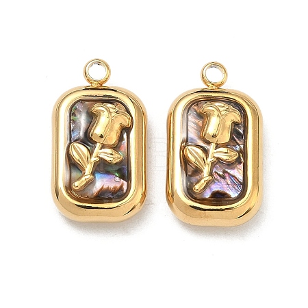 Natural Paua Shell Pendants STAS-C174-21G-02-1