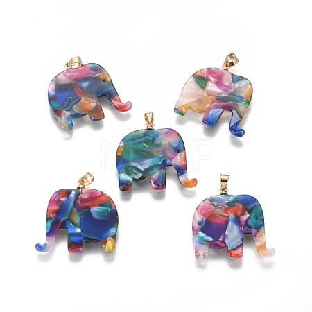 Resin Pendants X-KK-G361-01G-1