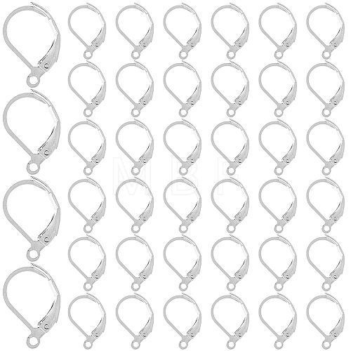 SOFPLATE 304 Stainless Steel Leverback Earring Findings STAS-SP0001-01B-1