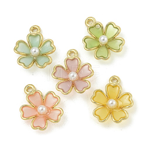 Alloy Resin Pendants FIND-M033-05-1