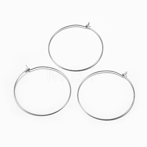 316 Surgical Stainless Steel Hoop Earrings Findings STAS-I097-050D-1