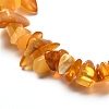 Natural Amber Chip Beads Stretch Bracelet for Kid BJEW-JB06819-01-4