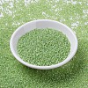 MIYUKI Round Rocailles Beads X-SEED-G007-RR0676-2