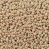 MIYUKI Round Rocailles Beads X-SEED-G008-RR0593-3