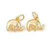 Brass Charms KK-G549-08G-1
