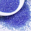 MIYUKI Delica Beads X-SEED-J020-DB1250-1
