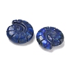 Natural Lapis Lazuli Conch Display Decorations DJEW-D303-01B-2