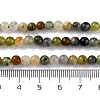 Natural New Jade Beads Strands X-G-F591-16-5MM-5