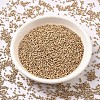 MIYUKI Delica Beads SEED-MY11-DB1152-2