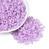 FGB Grade A Frosted Glass Seed Beads SEED-Q040-04A-05-2