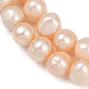 Natural Cultured Freshwater Pearl Beads Strands PEAR-I007-07Z-04B-4