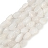 Natural Rainbow Moonstone Beads Strands G-G018-48-01-2