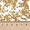 Glass Seed Beads SEED-L011-02B-01-4