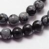 Natural Snowflake Obsidian Beads Strands G-N0186-01-2mm-3