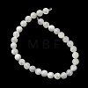 Natural Trochid Shell/Trochus Shell Beads Strands SH-CBA2978-16B-3