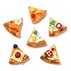 30Pcs 6 Styles Opaque Resin Pizza Cabochons RESI-CJ0005-41-8