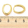 Oval Brass Huggie Hoop Earrings for Women EJEW-M255-01G-3