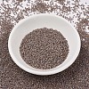 MIYUKI Delica Beads SEED-MY11-DB1749-2