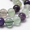 Natural Fluorite Bead Strands G-G735-24-10mm-AB+-3