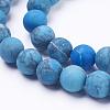 Dyed Natural Map Stone/Picasso Stone/Picasso Jasper Beads Strands G-F520-52-10mm-3