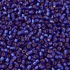 MIYUKI Delica Beads X-SEED-J020-DB0696-3