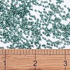 MIYUKI Delica Beads SEED-X0054-DB0607-3