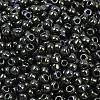 TOHO 6/0 Round Beads SEED-TR06-0089-3